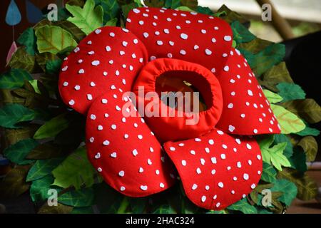 Flockenschmuck aus Rafflesia-Blüten auf dekorativem Regenschirm. Stockfoto