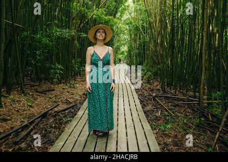 Weg durch dichten Bambuswald, zu den berühmten Waimoku fällt. Beliebte Pipiwai trail Haleakala National Park auf Maui, Hawaii, USA Stockfoto