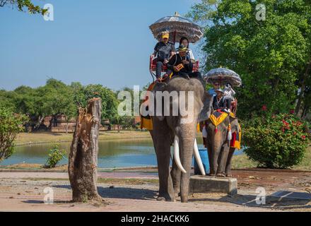 AYUTTHAYA, THAILAND - 01. JANUAR 2017: Touristen auf Elefanten an einem sonnigen Tag. Spazieren Sie durch die Altstadt Stockfoto