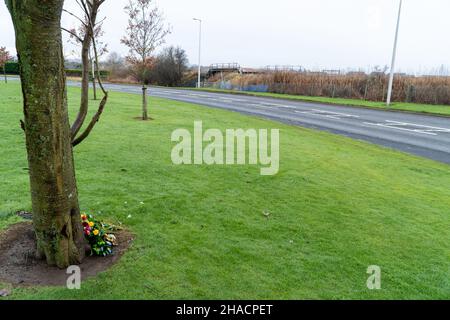 Newhame Rd, Montrose, Angus, Schottland, 12th vom 2021. Dezember: Bild: Die Nachwirkungen eines ernsthaften RTC, bei dem eine Hündin getötet wurde, als ein Auto die Kontrolle über die scharfe Kurve der Newhame Rd verlor, den Straßenbelag aufbog, die Hündin-Geherin schlug und dann in den Bahndamm stürzte. Der tödliche RTC ereignete sich um 8,20pm Uhr am Samstag, dem 11th. Dezember 2021. Gelbe Markierungen auf der Straße stammen von der Polizei und veranschaulichen den Weg, den das Auto eingeschlagen hat. Mitglieder der Öffentlichkeit wurden gesehen, um Blumen in einem Zeichen des Respekts für die Frau zu legen, die starb.Quelle:Barry Nixon/Alamy Live News Stockfoto