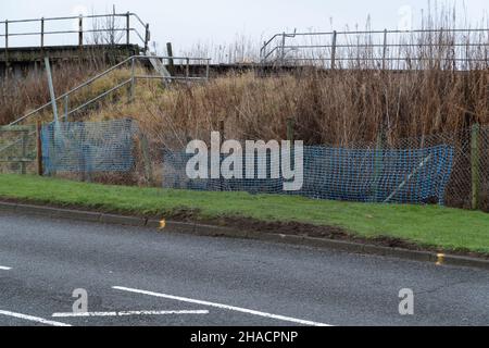 Newhame Rd, Montrose, Angus, Schottland, 12th vom 2021. Dezember: Bild: Die Nachwirkungen eines ernsthaften RTC, bei dem eine Hündin getötet wurde, als ein Auto die Kontrolle über die scharfe Kurve der Newhame Rd verlor, den Straßenbelag aufbog, die Hündin-Geherin schlug und dann in den Bahndamm stürzte. Der tödliche RTC ereignete sich um 8,20pm Uhr am Samstag, dem 11th. Dezember 2021. Gelbe Markierungen auf der Straße stammen von der Polizei und veranschaulichen den Weg, den das Auto eingeschlagen hat. Mitglieder der Öffentlichkeit wurden gesehen, um Blumen in einem Zeichen des Respekts für die Frau zu legen, die starb.Quelle:Barry Nixon/Alamy Live News Stockfoto