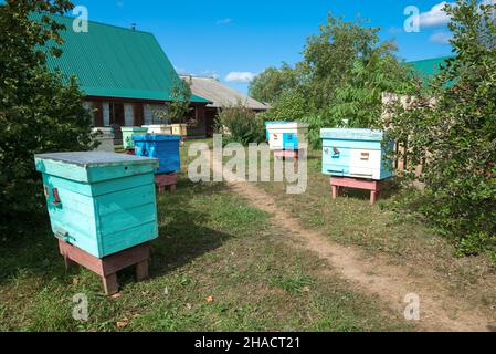 Bienenstöcke in einer ländlichen Gegend an einem sonnigen Septembertag. Kirov-Region, Russland Stockfoto