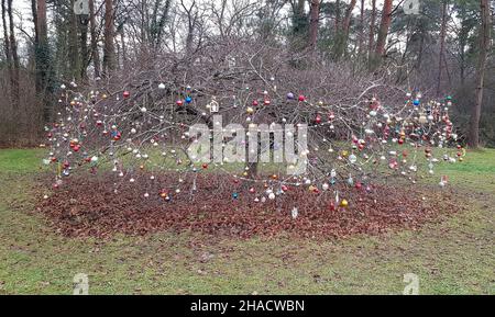 Weihnachtsbaum mit bunten Kugeln ohne Blätter geschmückt Stockfoto