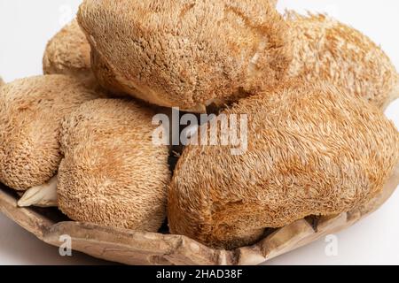 Getrocknete Löwenmähnchen oder Hericium Erinaceus werden auch Bartzahnpilz genannt. Stockfoto