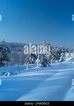 Winterlandschaft mit von Holz auf Hintergrund blauer Himmel eingefroren Stockfoto