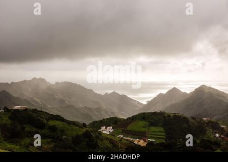 Anaga Nordwald auf der Insel Teneriffa, Kanarische Inseln, Spanien. Stockfoto