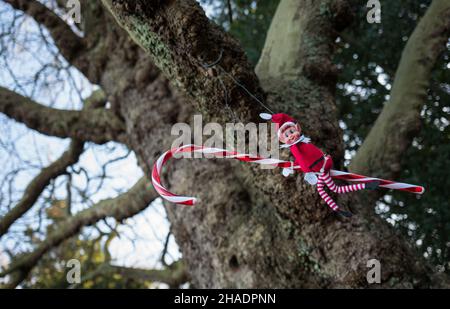 Weihnachtsmann Elf weihnachtsbaum Dekoration Reiten eine rote und weiße Kunststoff Süßigkeiten Stock. Stockfoto