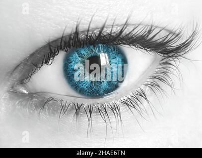 Makrobild des menschlichen Auges mit blauer Iris und entsätterter Haut. Nahaufnahme Stockfoto