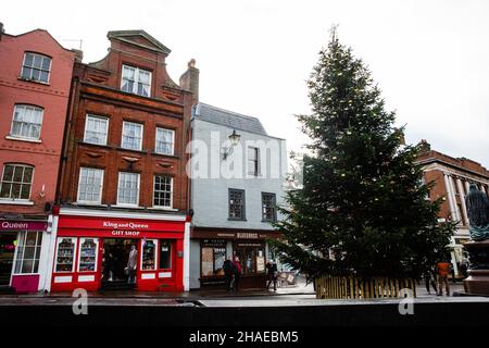 Windsor, Großbritannien. 12th. Dezember 2021. Ein 25 Meter langer Weihnachtsbaum steht auf dem Castle Hill. Seit 1947 wird der Stadt Windsor von der Königin jedes Jahr ein Weihnachtsbaum geschenkt, der im Crown Estate im Windsor Great Park angebaut wird. Kredit: Mark Kerrison/Alamy Live Nachrichten Stockfoto