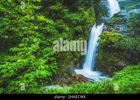 Reisen Sie den höchsten Wasserfall in Chiangmai Mae-pan Wasserfall Regenzeit Wald in Doi intanon Stockfoto