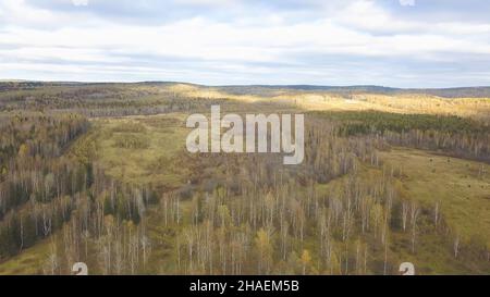 Luftaufnahme von oben, Herbstlandschaft mit wildem Wald. Clip. Hochwinkelansicht einer Straße durch den Herbstwald. Stockfoto