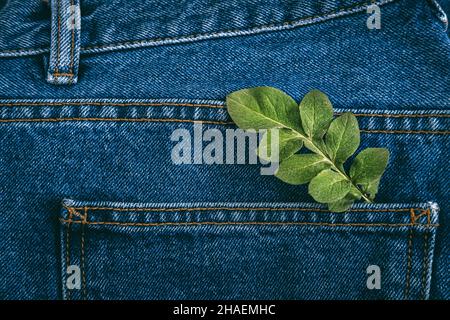 Nachhaltige Mode, Kreislaufwirtschaft, Denim umweltfreundliche Kleidung. Grüne Blattpflanze auf blauem Denim-Jeans-Hintergrund Stockfoto