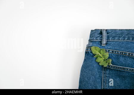 Nachhaltige Mode, Kreislaufwirtschaft, Denim umweltfreundliche Kleidung. Grüne Blattpflanze auf blauem Denim-Jeans-Hintergrund Stockfoto