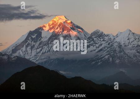 Abends Panoramablick auf den Berg Dhaulagiri - Nepal Stockfoto