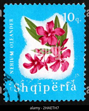 ALBANIEN - UM 1965: Eine in Albanien gedruckte Briefmarke zeigt Oleander, Nerium Oleander, Flower, um 1965 Stockfoto