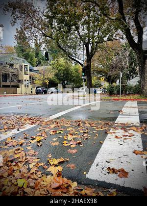 SACRAMENTO, USA - 09. Nov 2021: Eine nasse und grüne Straße in der Innenstadt von Sacramento, USA Stockfoto