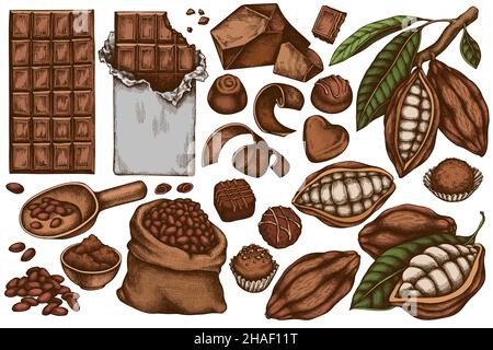 Vektor-Set von handgezeichneten farbigen Kakaobohnen, Kakao, Schokolade, Schokolade Bonbons Stock Vektor