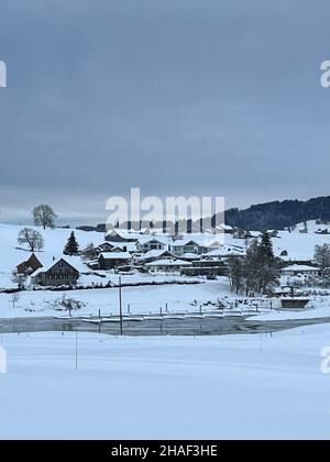 Winterlandschaft am Sihlsee in der Schweiz, Kanton Schwyz. Alles ist mit Schnee bedeckt, graublauer Himmel ist oben. Es ist Platz für Kopien vorhanden. Stockfoto