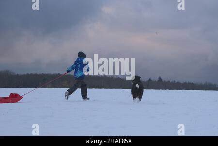 Die Familie nimmt den Hund mit auf einen Spaziergang im ersten Schnee des Jahres Stockfoto