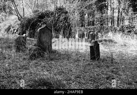 Alte moosige Gräber auf einem verlassenen Friedhof in schwarz-weiß Stockfoto