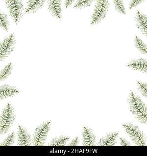 Aquarell Kiefern Äste, Weihnachtsbaum Äste quadratische Kartenvorlage mit weißem Hintergrund, Winter Cliparts, Tannenbaum Äste Grenze Stockfoto