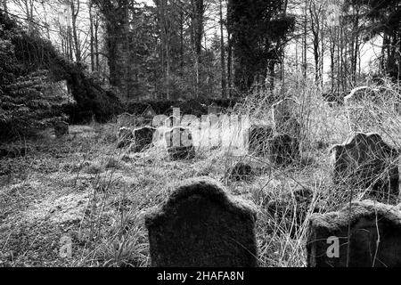 Alte moosige Gräber auf einem verlassenen Friedhof in schwarz-weiß Stockfoto