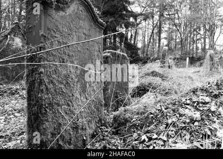 Alte moosige Gräber auf einem verlassenen Friedhof in schwarz-weiß Stockfoto