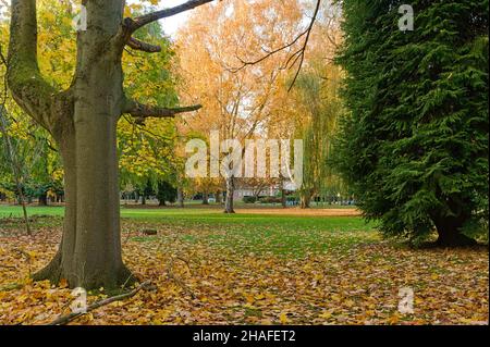 Herbstbäume und gefallene Blätter auf dem Gras auf dem alten viktorianischen Friedhof mit dem Krematoriumsgebäude im Hintergrund. Stockfoto