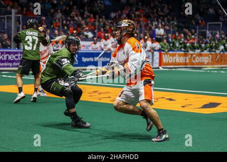 11. Dezember 2021: Buffalo Bandits-Stürmer Tehoka Nanticoke (1) bringt im zweiten Quartal gegen die Rochester Knighthawks den Ball ins Netz. Die Rochester Knighthawks veranstalteten die Buffalo Bandits in einem Spiel der National Lacrosse League in der Blue Cross Arena in Rochester, New York. (Jonathan Tenca/CSM) Stockfoto