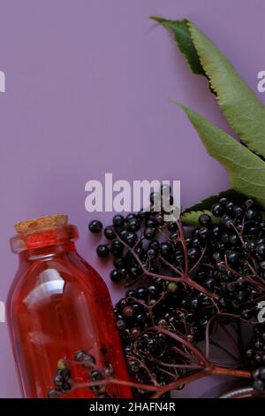 Holundersirup.Sambucus-Beeren. Roter Sirup in einer Flasche und Trauben von Holunderbeeren auf einem violetten Hintergrund.Holunderzweigen.reife schwarze Holunderbeere Stockfoto