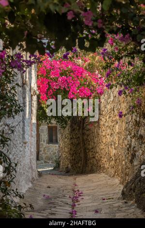 Bilderquare Schmaler Pass mit Bougainvillea Blumen in Old Datca, Türkei Stockfoto