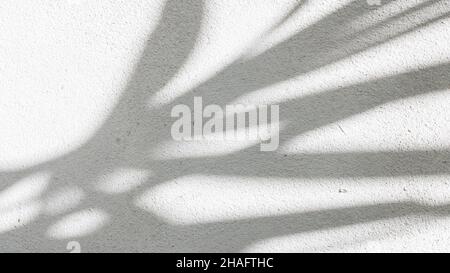 Schwarz und Weiß abstrakt Hintergrund textuer der Schatten Lamelle auf einer Betonwand Stockfoto