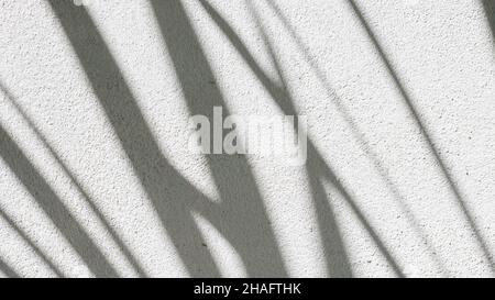 Schwarz und Weiß abstrakt Hintergrund textuer der Schatten Lamelle auf einer Betonwand Stockfoto
