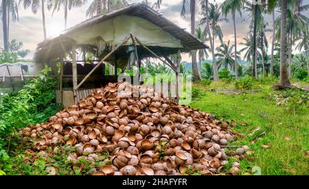 Ein großer Haufen geschnittener Kokosspelzen vor einem hausgemachten Schuppen auf Mindoro Island, wo sie verkohlt und zum Kochen in Holzkohle umgewandelt werden. Stockfoto