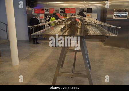 'Land, Milch, Honig - Tiergeschichten in imaginierten Landschaften' - Israelischer Pavillon auf der Architekturbiennale Venedig 17th in Italien - 9. November 2021. Stockfoto