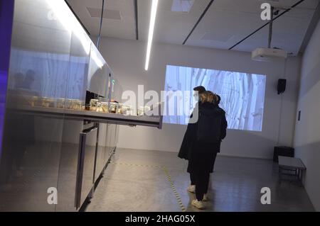 'Land, Milch, Honig - Tiergeschichten in imaginierten Landschaften' - Israelischer Pavillon auf der Architekturbiennale Venedig 17th in Italien - 9. November 2021. Stockfoto