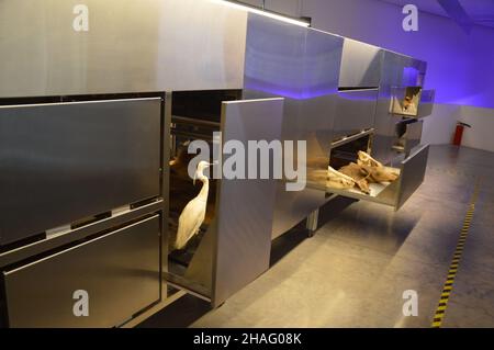 'Land, Milch, Honig - Tiergeschichten in imaginierten Landschaften' - Israelischer Pavillon auf der Architekturbiennale Venedig 17th in Italien - 9. November 2021. Stockfoto