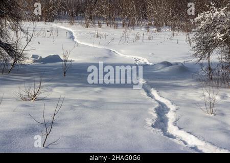 Ein gut ausgetretener Weg durch den gefallenen weißen Schnee im Winter in einem Feld Stockfoto