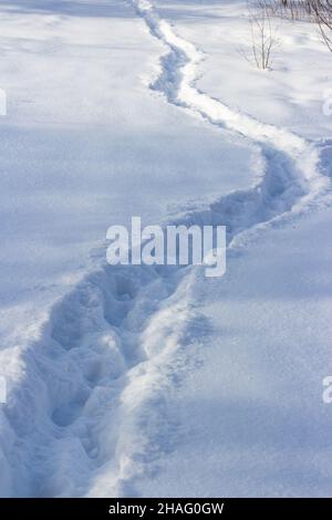 Ein gut ausgetretener Weg durch den gefallenen weißen Schnee im Winter in einem Feld Stockfoto