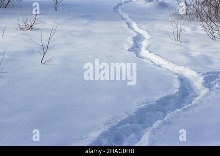 Ein gut ausgetretener Weg durch den gefallenen weißen Schnee im Winter in einem Feld Stockfoto