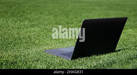 Laptop auf grünem Gras im Freien für Online-Arbeit, Kopierplatz, agiles Geschäft Stockfoto