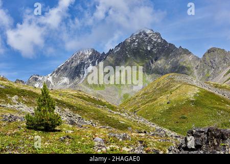 Alpine Tundra in den Bergen Ostsibiriens. Schönes Wetter im August. Russland Stockfoto