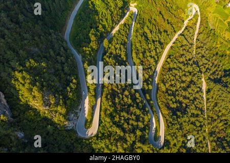 Luftaufnahme der Straße (SP53), die sich durch den Wald oberhalb der Stadt Preore in der Region Trentino in Italien schlängelt Stockfoto