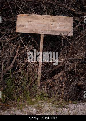 Beängstigende leere Holztafeln liegen auf trockenen Ästen. Speicherplatz kopieren. Halloween. Stockfoto