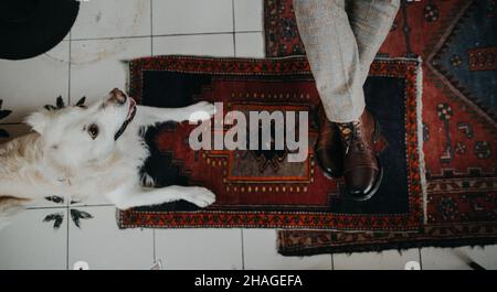 Nicht erkennbarer älterer Mann, der mit seinem Hund in der Cafeteria sitzt, direkt über dem Bild. Stockfoto