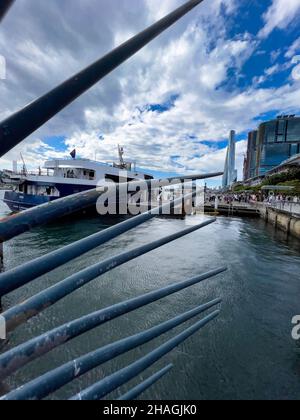 Barangaroo-Gebäude und Yachten parkten an der King Street Wharf Stockfoto