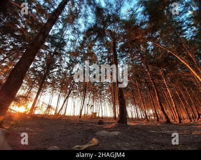 Rückwasser von Kerala-Götter eigenes Land Stockfoto
