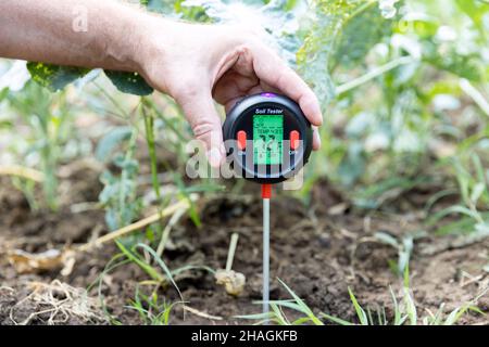 Messung von Temperatur, Feuchtigkeitsgehalt des Bodens, Luftfeuchtigkeit und Beleuchtung in einem Gemüsegarten Stockfoto