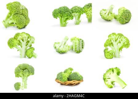 Sammlung von frischem Brokkoli-Kopf Stockfoto
