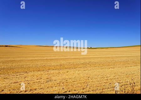 Landschaft der Getreidefelder nach der Ernte Stockfoto